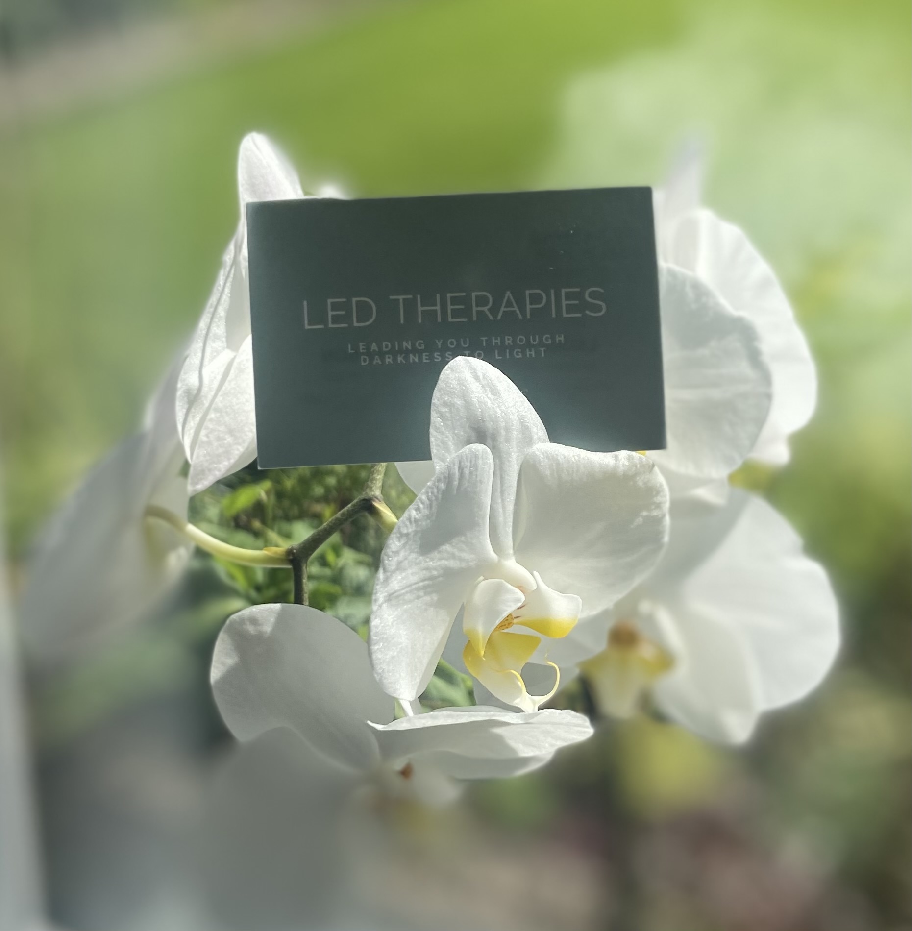 Schedule Appointment with Led Therapies Psychology