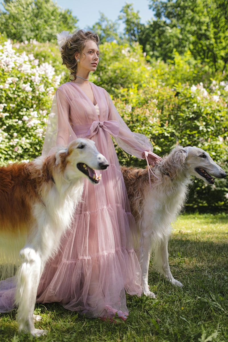 ZOOM SESSION Animal Communication | Deceased or Living Pet