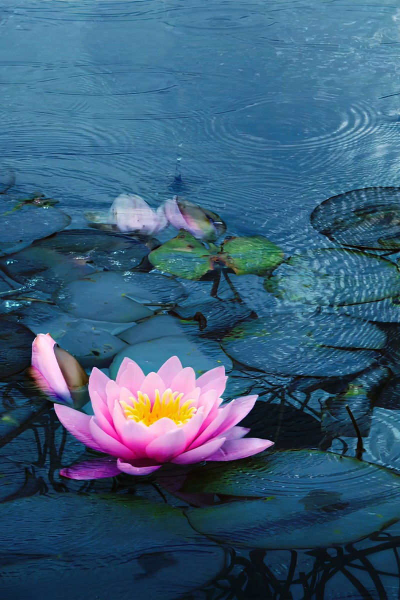 45 Minute Mediumship Reading