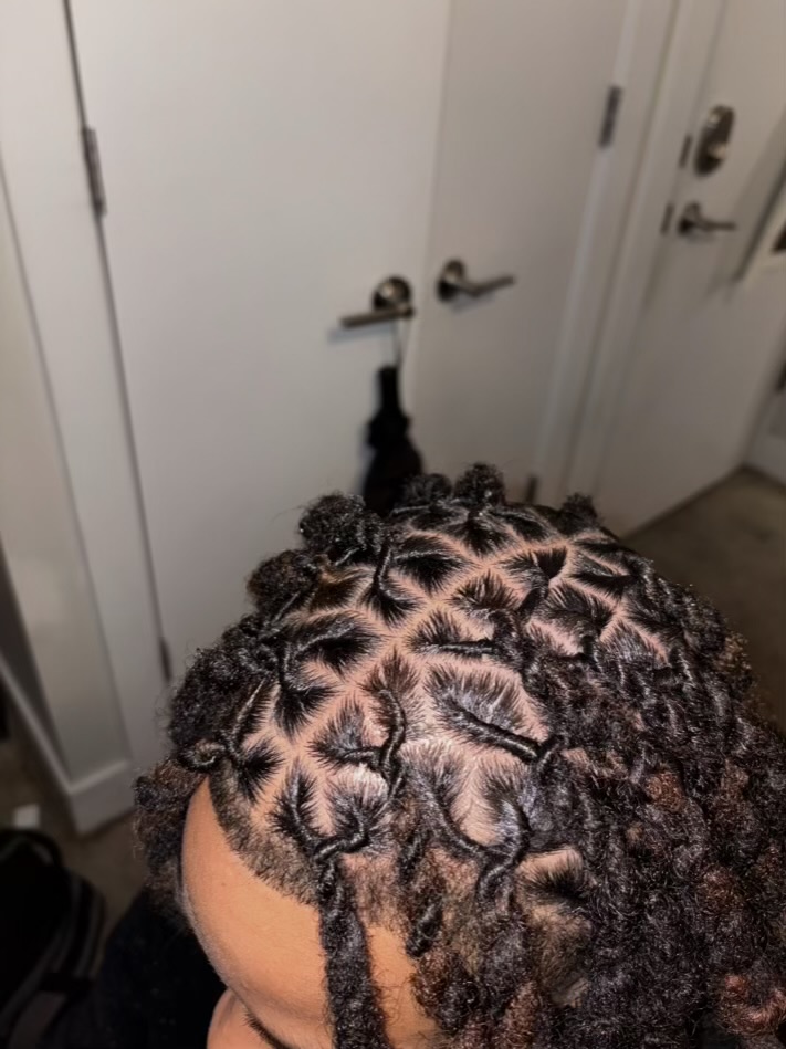 Two strand twist locs