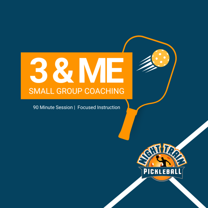 Schedule Appointment with Night Train Pickleball