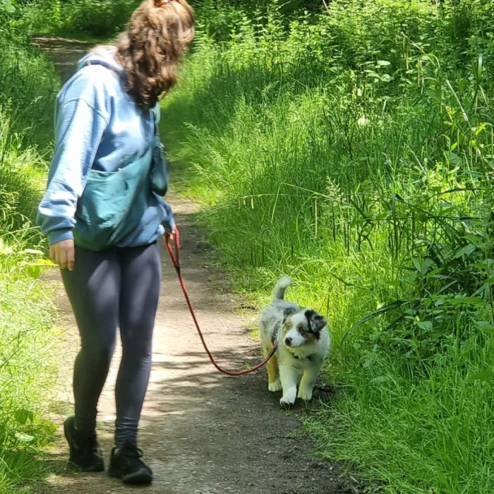 schedule-appointment-with-paw-by-paw-training