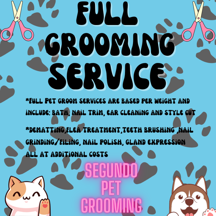 Schedule Appointment with Segundo Pet Grooming