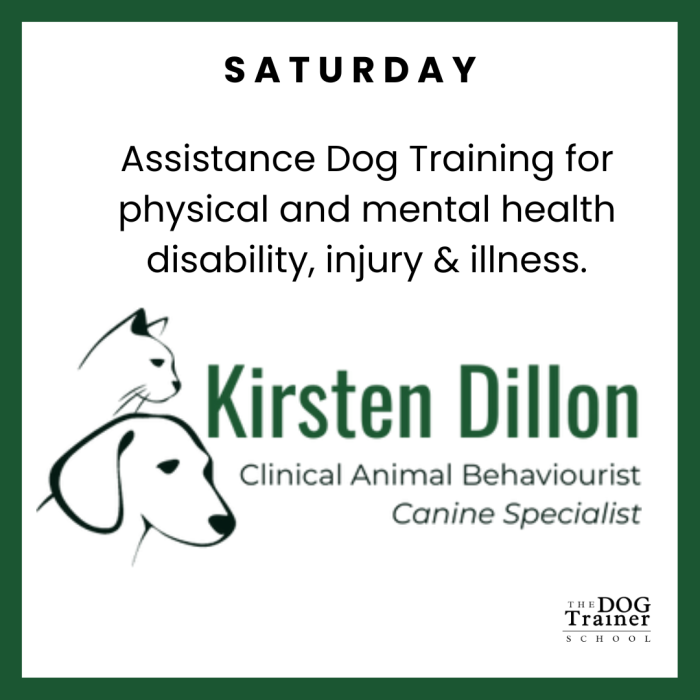 Schedule Appointment with The Dog Trainer School