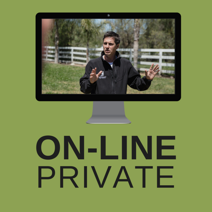 Schedule Appointment With Beckman s Dog Training Schedule Appointment With Beckman s Dog Training