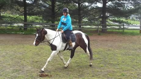 Horse Back Riding Lesson (1 hour)