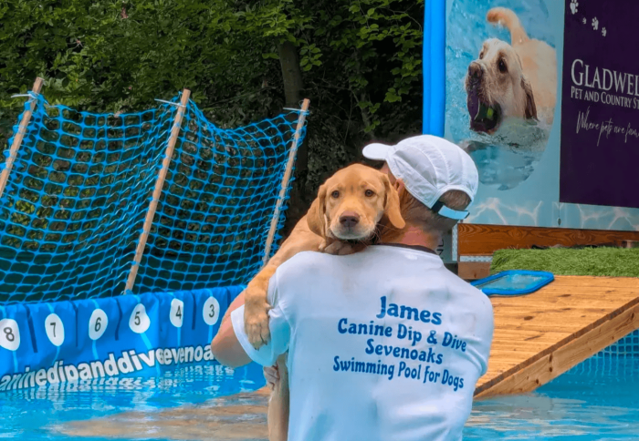 Schedule Appointment with Canine Dip and Dive Sevenoaks