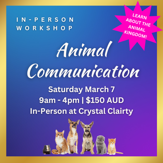 Animal Communication Workshop | March 7