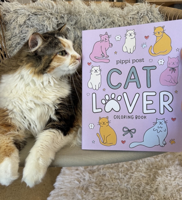 Reservations — Whiskers Cat Café and Coffeehouse