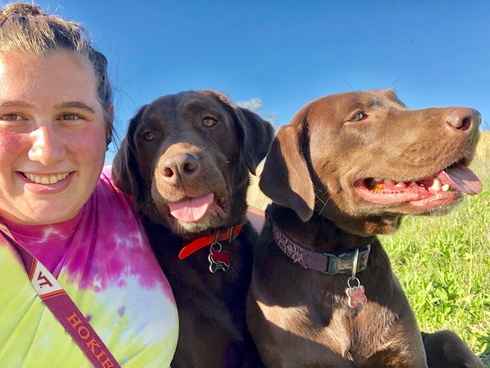 off leash k9 blacksburg