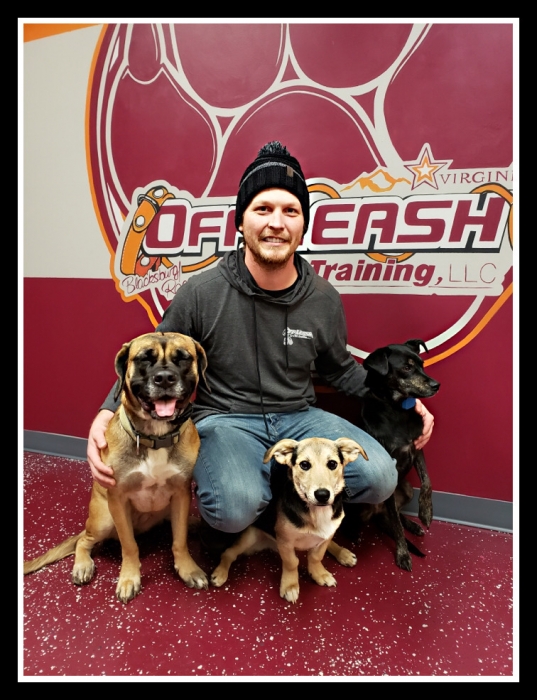 off leash k9 blacksburg