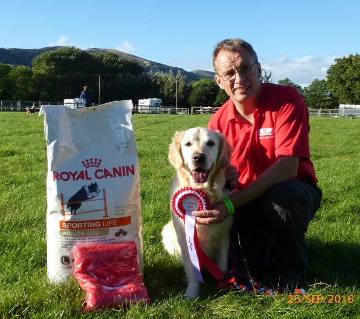 royal canin agility 4100