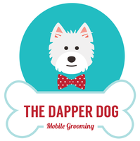 the dapper dog grooming salon
