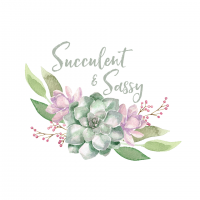 Schedule Appointment with Succulent and Sassy