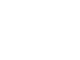 Donatx Braids African Hair Salon