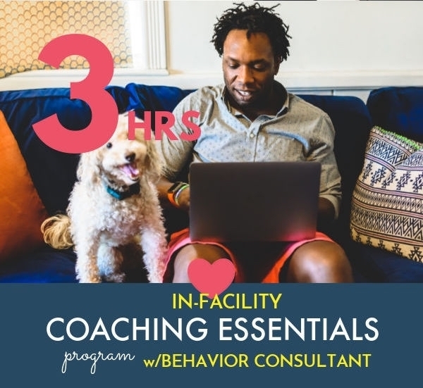 Schedule Appointment with Instinct Dog Behavior & Training Hudson Valley