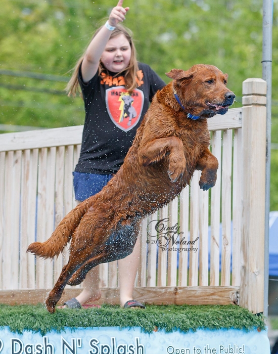 Schedule Appointment with Duke's K9 Dash N' Splash