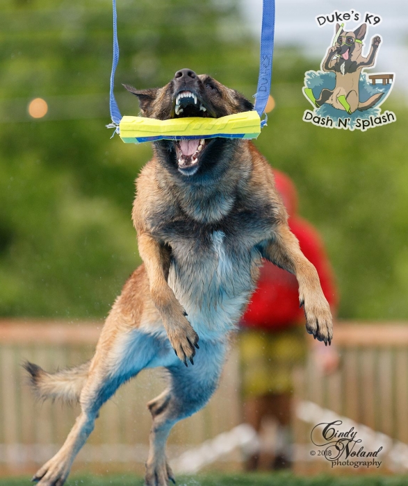 Schedule Appointment with Duke's K9 Dash N' Splash